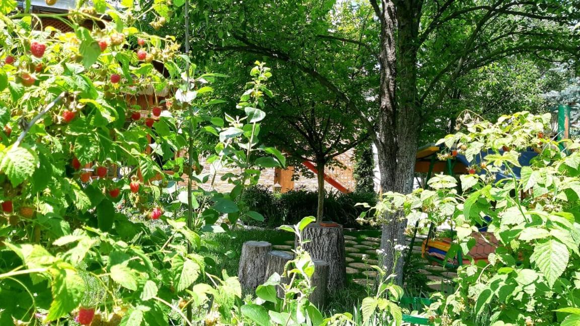 Maghay B&B Hotel In Vanadzor Bagian luar foto